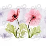 zebra-curtains-decorated-with-two-flower-main-LUX066 (Copy)