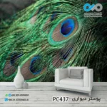 کاغذدیواری تصویری پذیرایی باتصویرپرهای طاووس آبی و سبزکدPC437