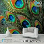 کاغذدیواری تصویری پذیرایی باتصویرپرهای رنگی طاووس-PC436
