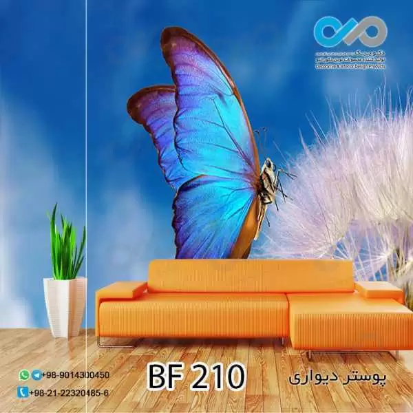 پوسترتصویری پذیرایی باتصویرپروانه ی آبی -کدBF210