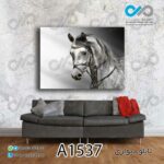 تابلو دیواری دکوپیک طرح نمای نزدیک اسب سفید خاکستری-کد A1537