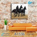 تابلو دیواری دکوپیک طرح سه اسب مشکی -کد A1536