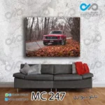 تابلو دیواری دکوپیک طرح پنج خودرو مدرن قرمز کنار جنگل -کد MC_247 - مستطیل افقی