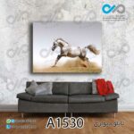 تابلو دیواری دکوپیک طرح اسب سفید دونده-کد A1530