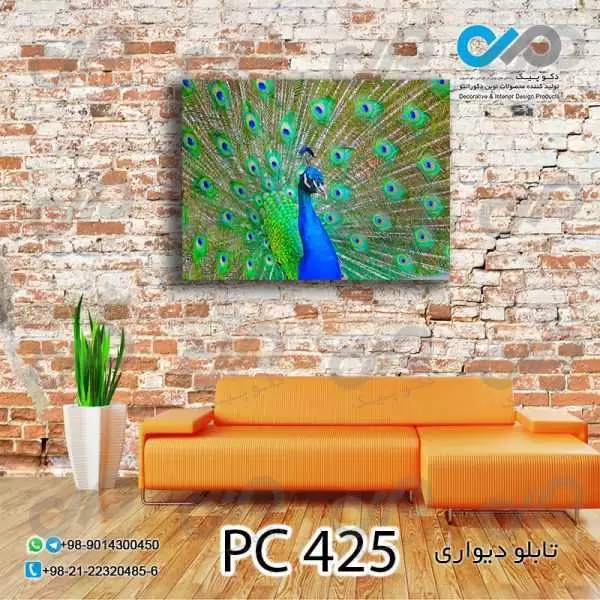 تابلو دیواری دکوپیک طرح طاووس آبی با پرهای باز-کدPC_425 مستطیل افقی