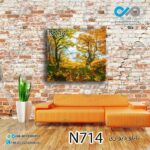 تابلو دیواری دکوپیک طبیعت با طرح جنگل پاییزی- کد N714 مربع