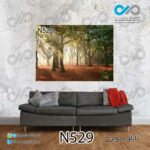 تابلو دیواری دکوپیک طبیعت با طرح جنگل - کد-N529 مستطیل افقی