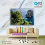 تابلو دیواری دکوپیک طبیعت با طرح صخره و سنگ سبزدریایی- کد-N577 مستطیل افقی
