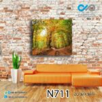 تابلو دیواری دکوپیک طبیعت با طرح جنگل پاییزی- کد N711 مربع