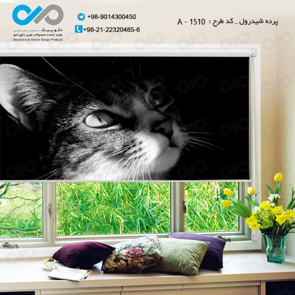 پرده شید رول با تصویر گربه های ملوس کد A- 1502