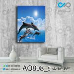تابلو دیواری آکواریوم با تصویر دلفین ها-کد AQ808_S